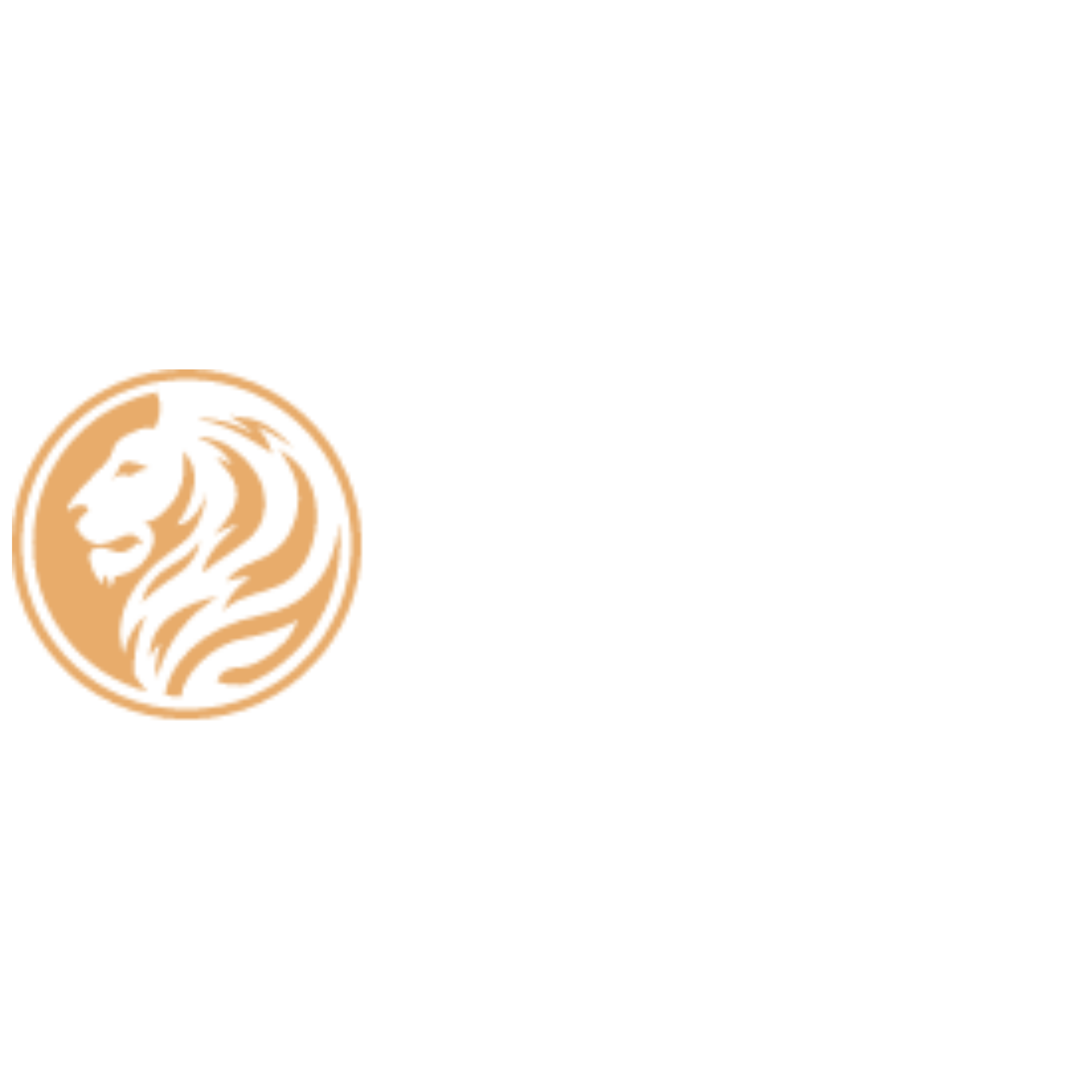 Logo Denise